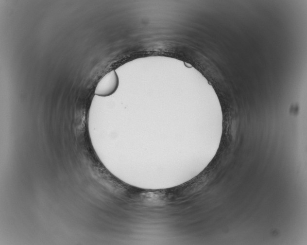 X0000112060660200909151027
