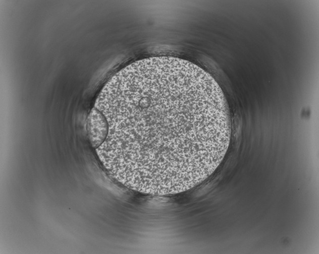 X0000112060669200909151027