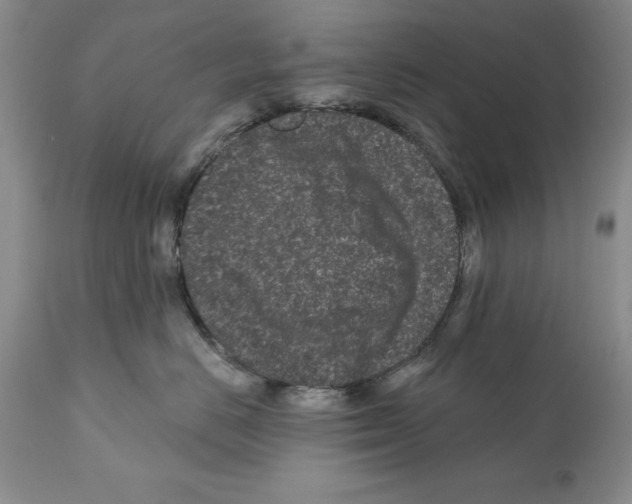 X0000112060670200909151027