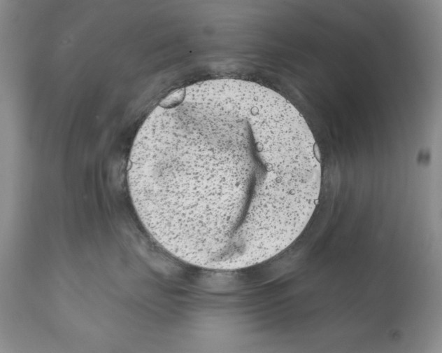 X0000112060671200909151027