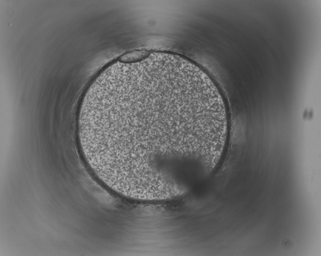 X0000112060673200909151026
