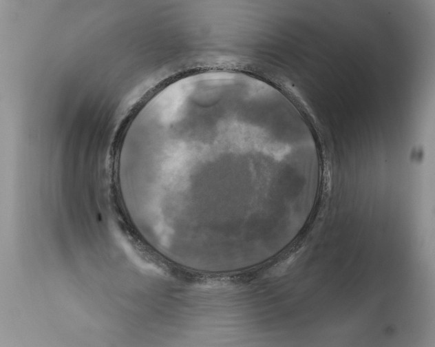 X0000112060674200909151026
