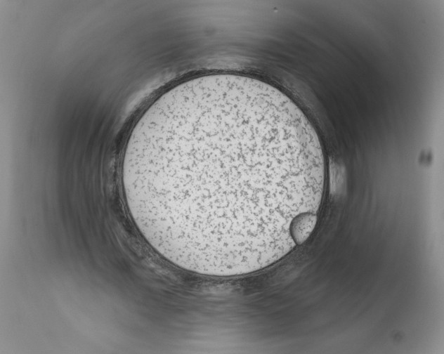 X0000112060675200909151026