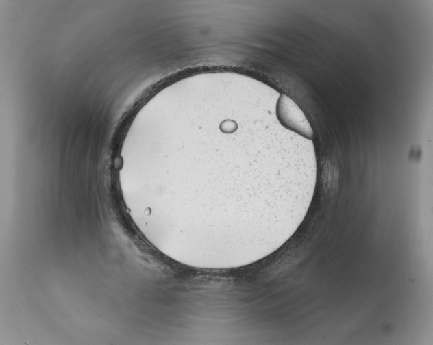 X0000112060676200909151026