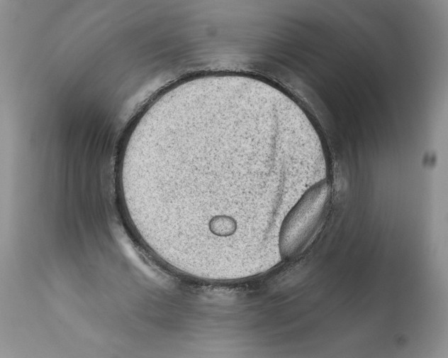 X0000112060677200909151026