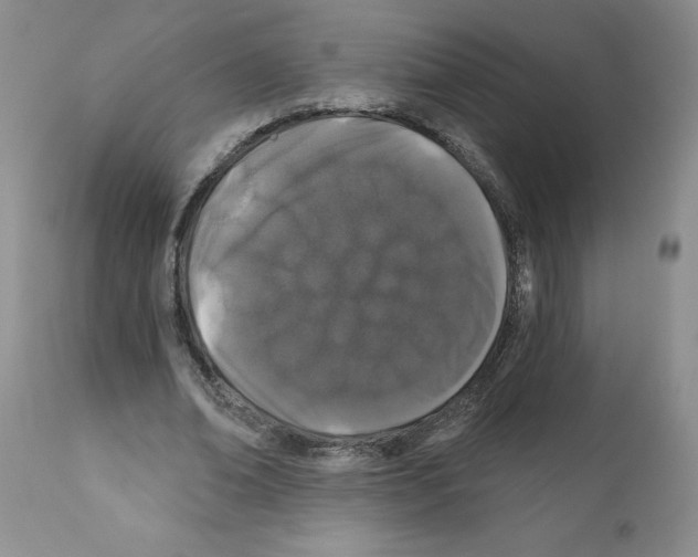 X0000112060678200909151026