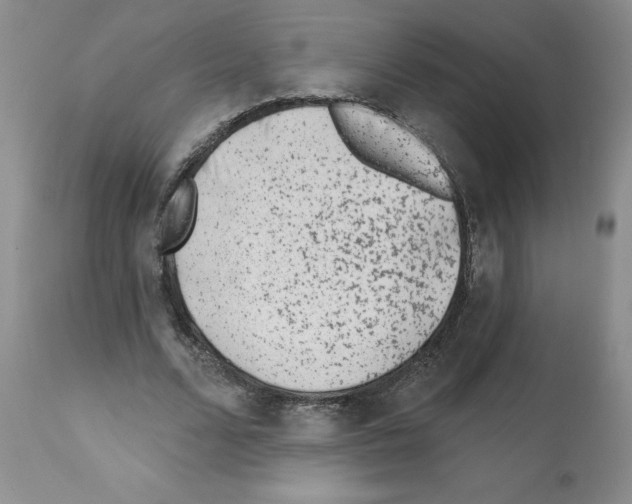 X0000112060680200909151026
