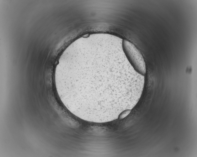 X0000112060681200909151026