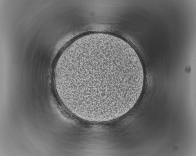 X0000112060682200909151026