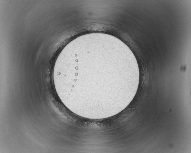 X0000112060683200909151026