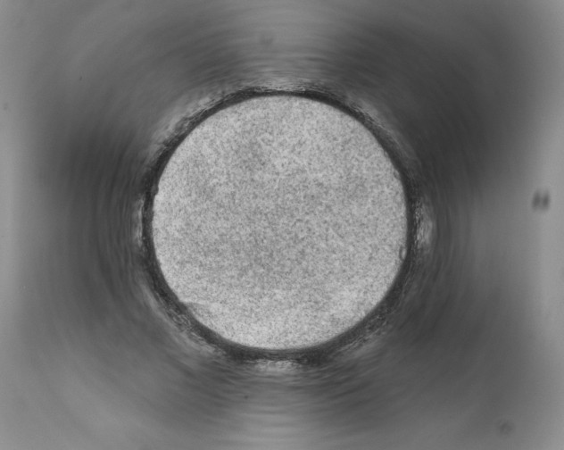 X0000112060685200909151026