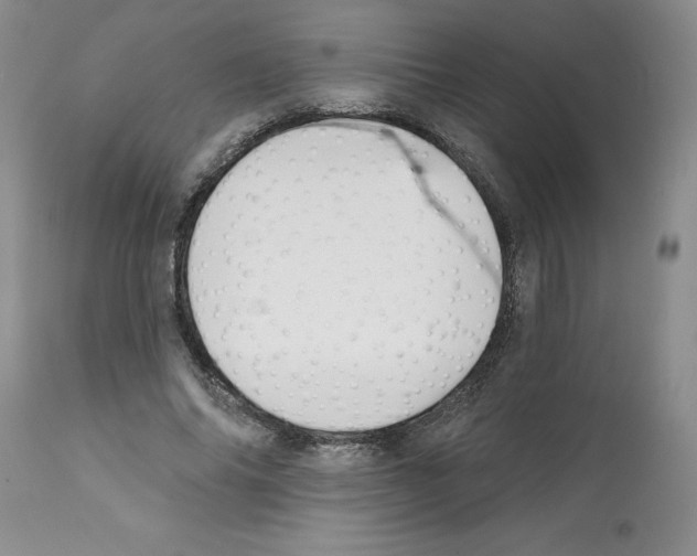 X0000112060686200909151026