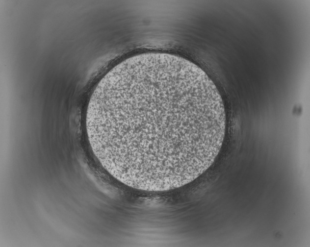 X0000112060688200909151026