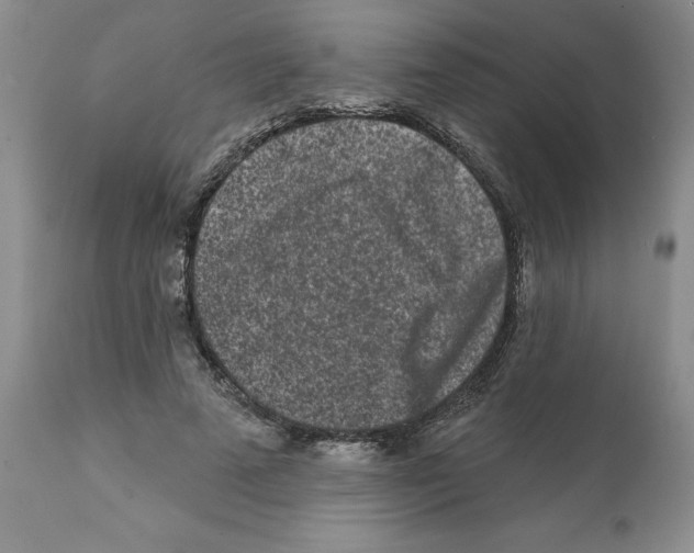 X0000112060689200909151026