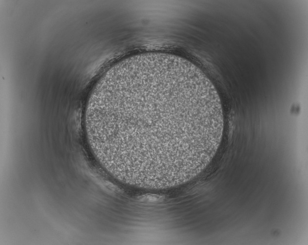 X0000112060691200909151026