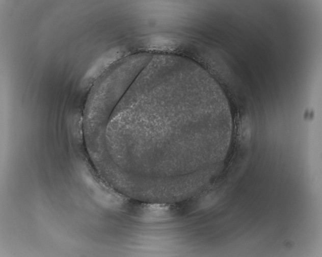 X0000112060692200909151026
