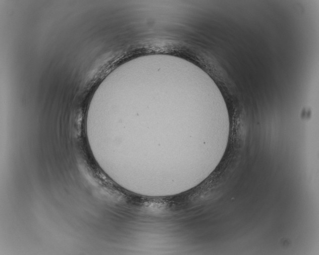 X0000112060694200909151026