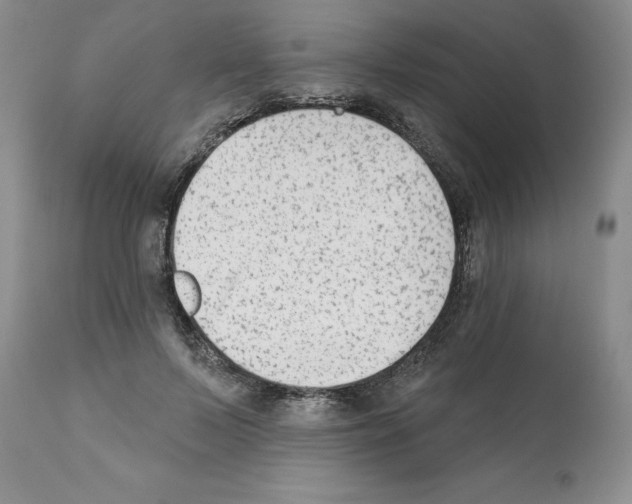 X0000112060695200909151026