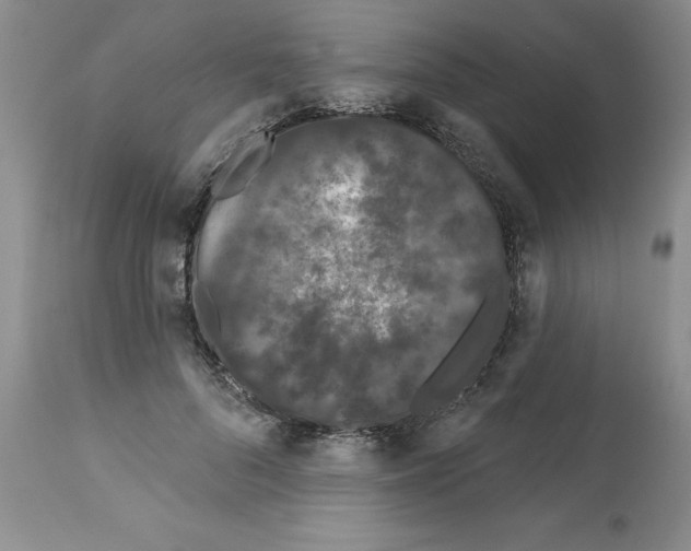 X0000112060696200909151026
