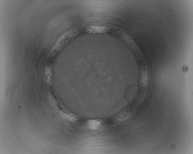 X0000112060701200909151026