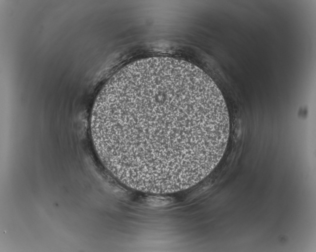 X0000112060707200909151026