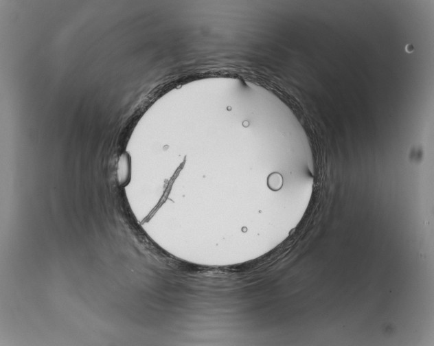X0000112060708200909151026