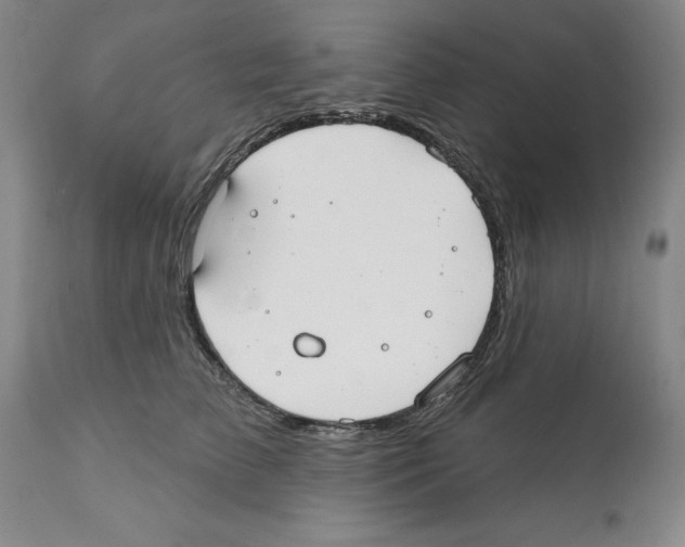 X0000112060709200909151026