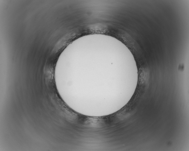 X0000112060713200909151026