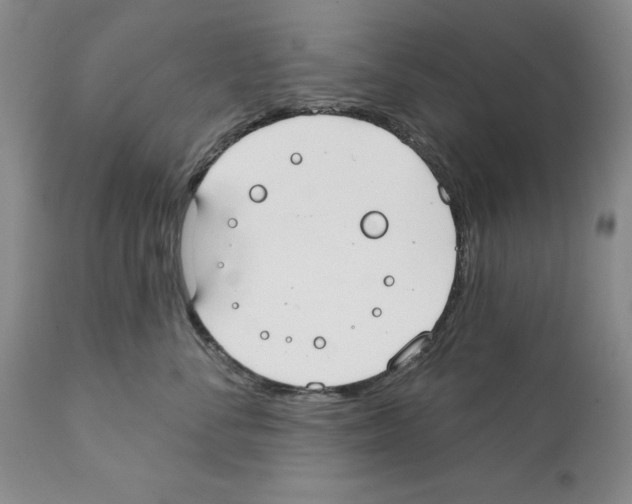 X0000112060716200909151025