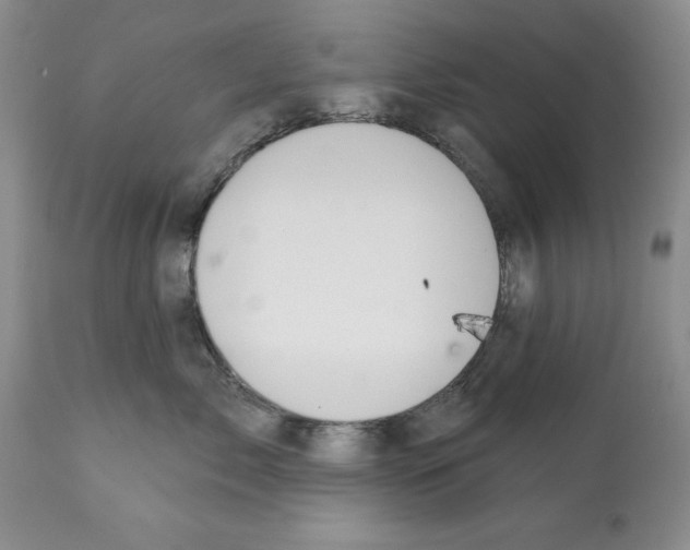 X0000112060717200909151025