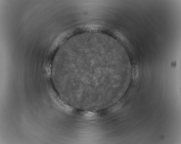 X0000112060718200909151025