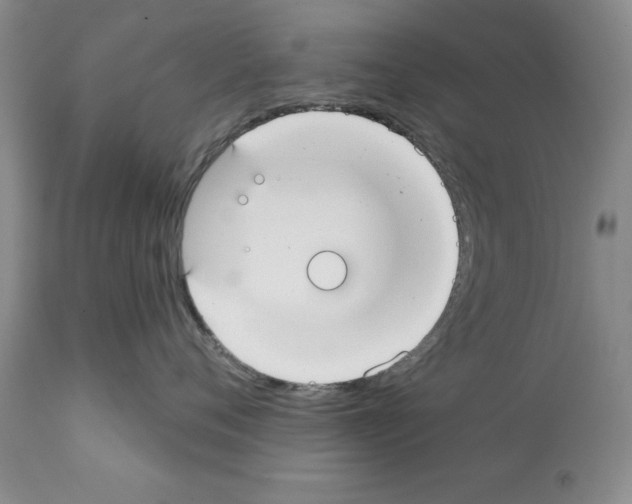 X0000112060720200909151025