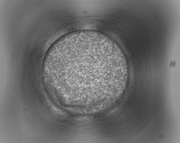 X0000112060721200909151025