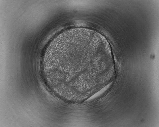 X0000112060722200909151025