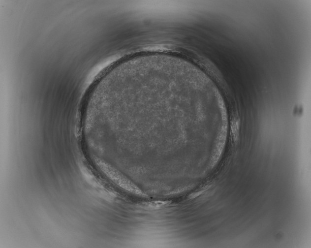 X0000112060724200909151025
