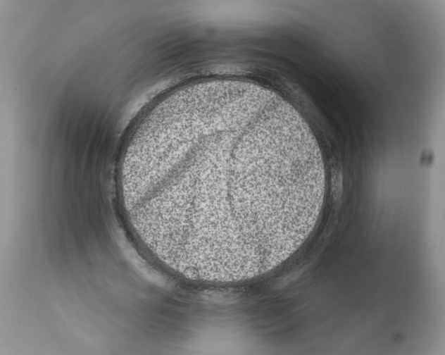 X0000112060725200909151025