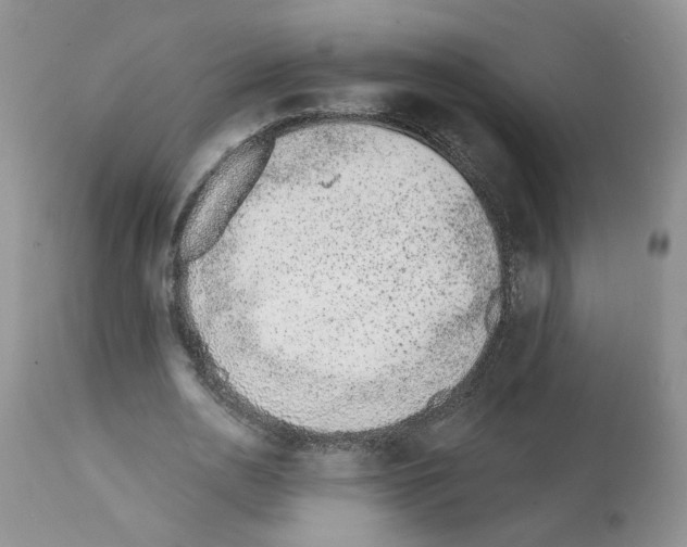 X0000112060726200909151025