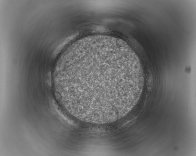 X0000112060729200909151025