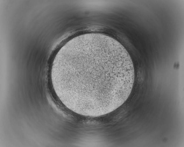 X0000112060730200909151025