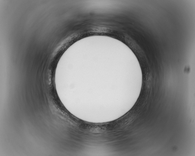 X0000112060731200909151025
