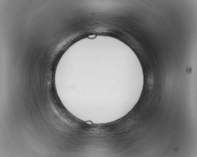 X0000112060732200909151025