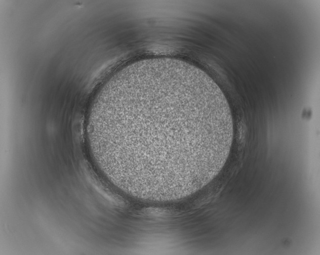 X0000112060733200909151025