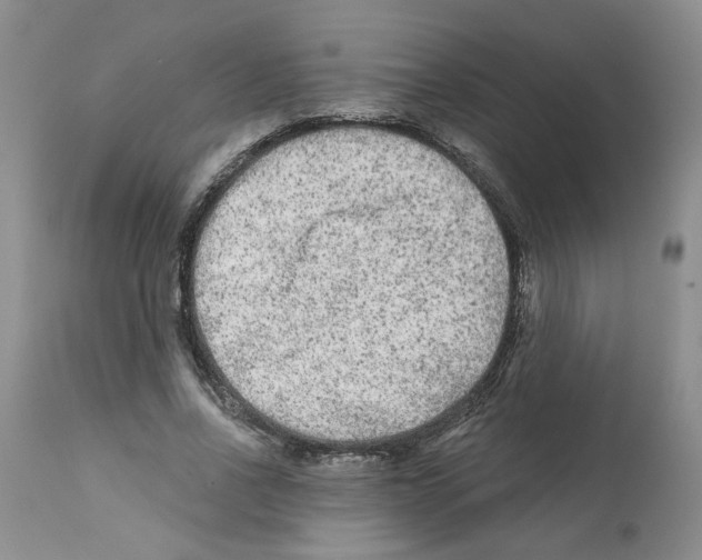 X0000112060734200909151025