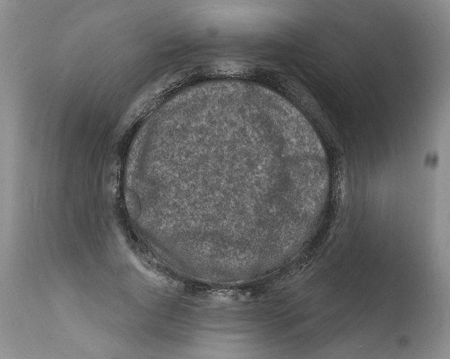 X0000112060736200909151025
