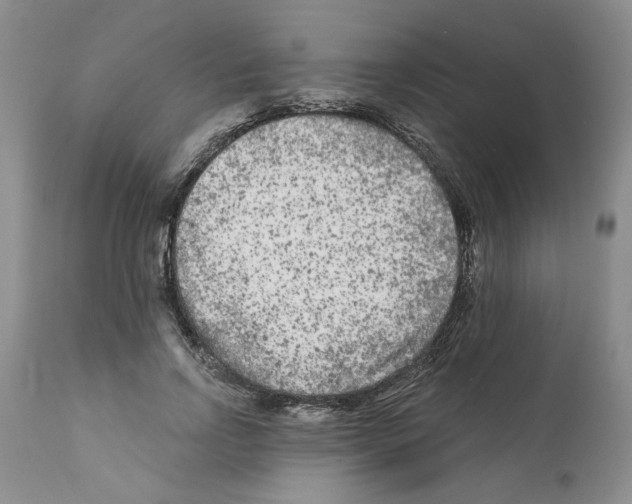 X0000112060742200909151025