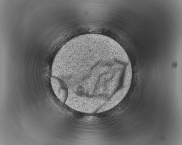 X0000112060748200909151025