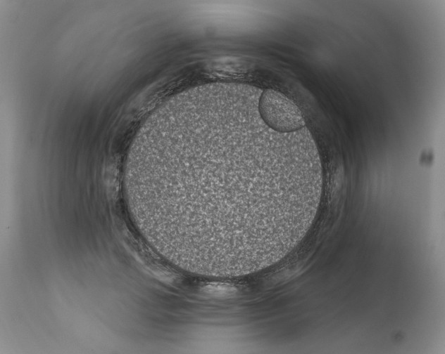 X0000112060749200909151025