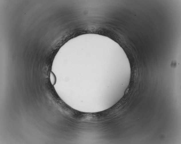 X0000112060750200909151025