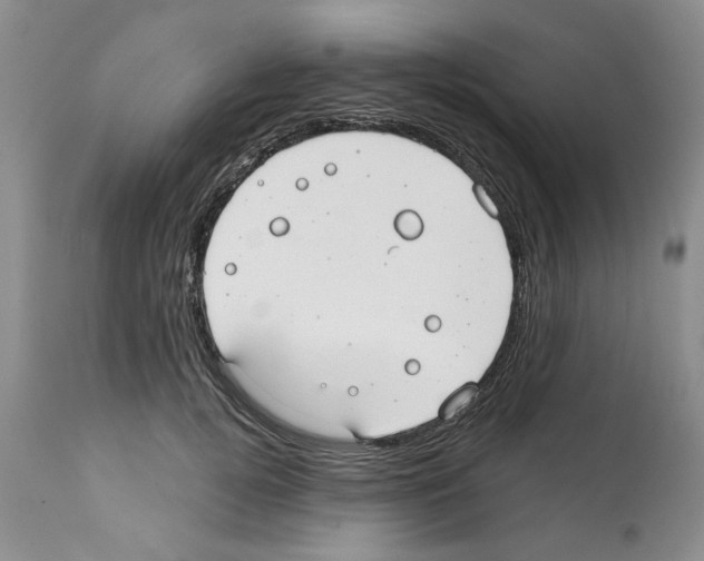 X0000112060752200909151025
