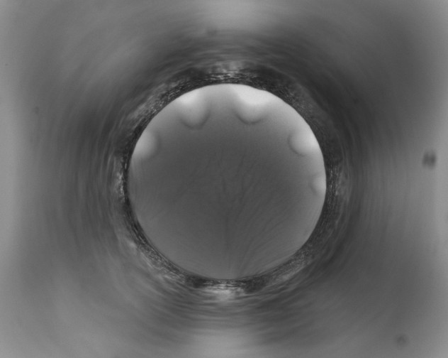 X0000112060754200909151025